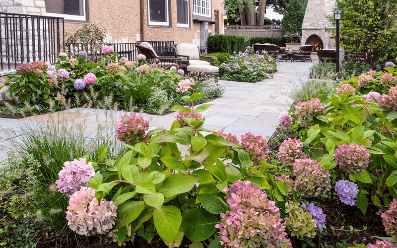 Outdoor living space with natural landscaping
